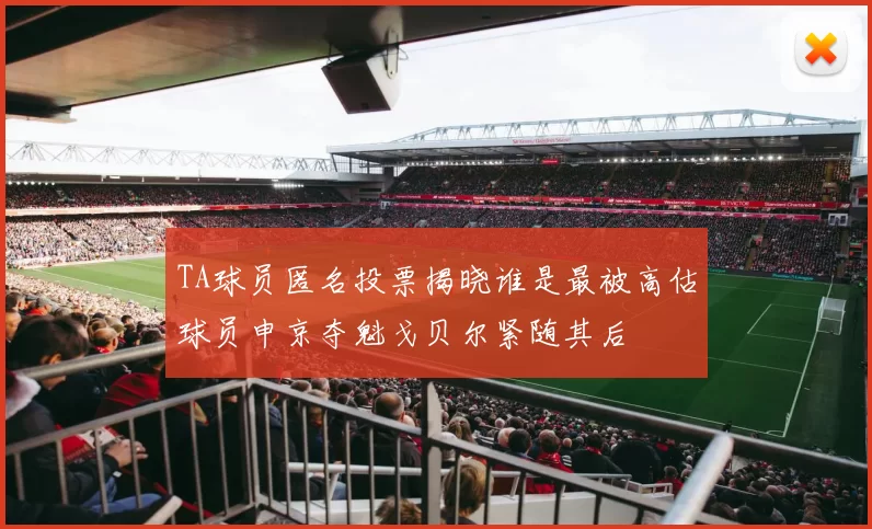 TA球员匿名投票揭晓谁是最被高估球员申京夺魁戈贝尔紧随其后